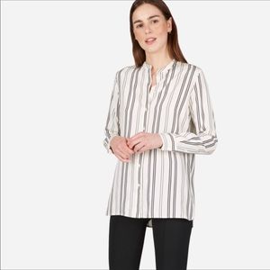 ⚡️FLASH SALE - Everlane Stripped SilK Shirt
